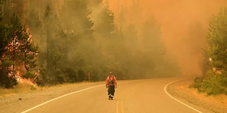 2026 traerá más incendios y eventos climáticos extremos por el cambio climático y El Niño, advierten científicos
