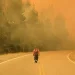 2026 traerá más incendios y eventos climáticos extremos por el cambio climático y El Niño, advierten científicos