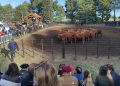 Julio Mayol y el Balance de la 50º Expo Rural de Tornquist: «Estamos Cosechando lo que Sembramos»