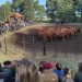 Julio Mayol y el Balance de la 50º Expo Rural de Tornquist: «Estamos Cosechando lo que Sembramos»