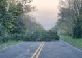 URGENTE: Un vehículo colisionó contra un árbol caído en la Ruta 76. Ruta Cortada