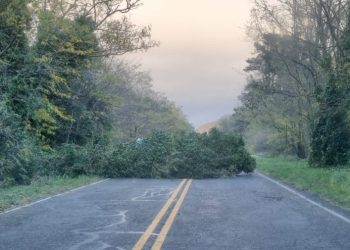 URGENTE: Un vehículo colisionó contra un árbol caído en la Ruta 76.