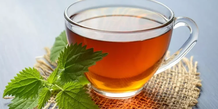 Día Internacional del Té: ¿por qué se celebra el 21 de mayo?