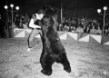 El misterio del Oso Bongo: la increíble noche en que un vecino de Saldungaray se plantó a luchar en el circo