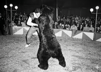 El misterio del Oso Bongo: la increíble noche en que un vecino de Saldungaray se plantó a luchar en el circo