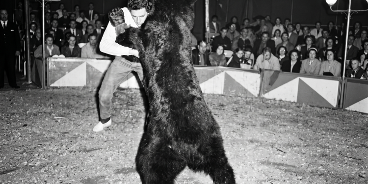 El misterio del Oso Bongo: la increíble noche en que un vecino de Saldungaray se plantó a luchar en el circo