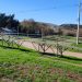 Calma antes del cambio: el sol brilla en la Comarca, pero el viento del norte ya prepara un jueves inestable y con ráfagas intensas