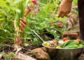 Día de la Gastronomía Sostenible: ¿por qué se celebra el 18 de junio?