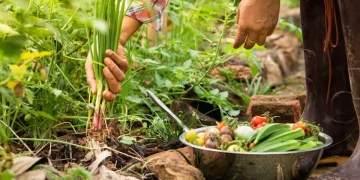 Día de la Gastronomía Sostenible: ¿por qué se celebra el 18 de junio?