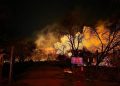 Emergencia ambiental en Cafayate: el fuego ya arrasó más de 200 hectáreas de bosque nativo y rige el Estado de Alerta por 18 meses
