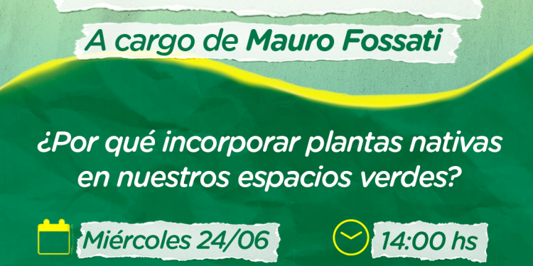 ‘El jardín refugio’, charla sobre plantas nativas en Sierra de la Ventana