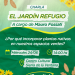 ‘El jardín refugio’, charla sobre plantas nativas en Sierra de la Ventana