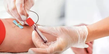 Día Mundial del Donante de Sangre: ¿por qué se celebra el 14 de junio?