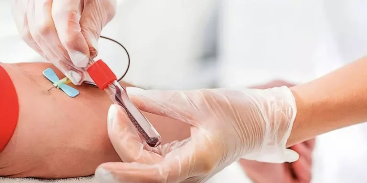 Día Mundial del Donante de Sangre: ¿por qué se celebra el 14 de junio?
