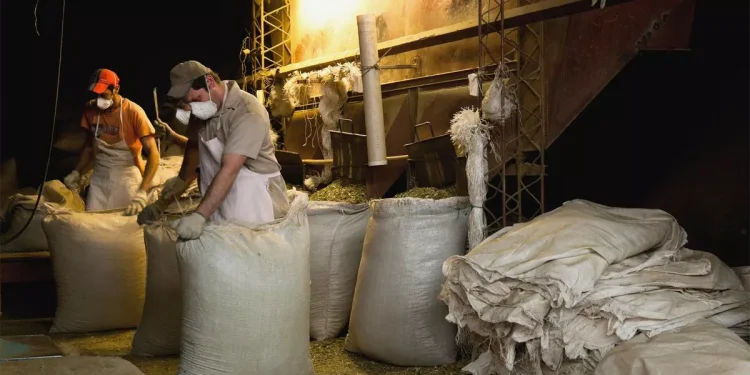 En los primeros dos años de Milei, el Norte y Cuyo despidieron más empleo privado formal que el AMBA