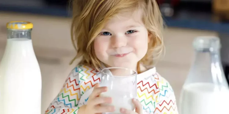Día Mundial de la Leche: ¿por qué se celebra el 1 de junio?