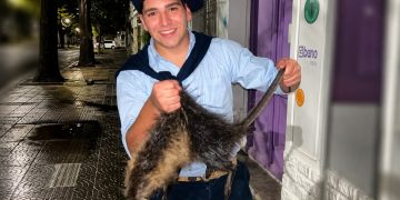 Le harán juicio académico en la UTN a uno de los jóvenes denunciados por matar a golpes a una nutria