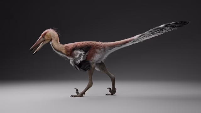 Histórico: hallan una nueva especie de dinosaurio raptor en Santa Cruz
