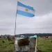 La Iglesia advierte que una ley de Sturzenegger atenta contra la soberanía sobre la tierra y los alimentos