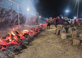 Alvear cumple años y lo festeja con 10 vaquillonas al asador