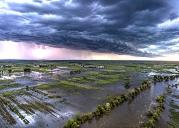 Argentina enfrentará «El Niño» más potente en décadas y ya se prepara para el impacto