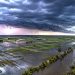 Argentina enfrentará «El Niño» más potente en décadas y ya se prepara para el impacto