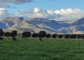 Fin de semana largo con frío, nubes y lluvias en la Comarca Serrana