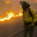 Al menos 12 muertos en un incendio forestal en España