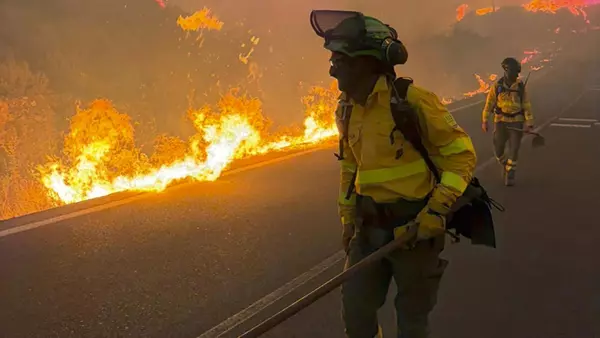 Al menos 12 muertos en un incendio forestal en España
