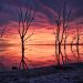 Los cuatro motivos que hacen únicos a los atardeceres de Epecuén