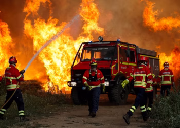 La ola de calor provoca incendios forestales en Francia, España y Portugal