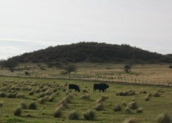 A 170 años de Nueva Roma: el ambicioso sueño italiano que terminó en tragedia en el sudoeste bonaerense