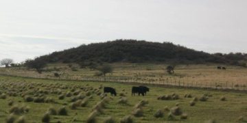A 170 años de Nueva Roma: el ambicioso sueño italiano que terminó en tragedia en el sudoeste bonaerense