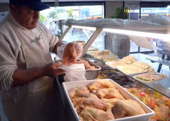 El pollo hace historia en la mesa de los argentinos: ya supera a la carne vacuna en consumo
