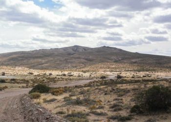 Inviolabilidad de la Propiedad Privada: La tierra prometida para los capitales extranjeros
