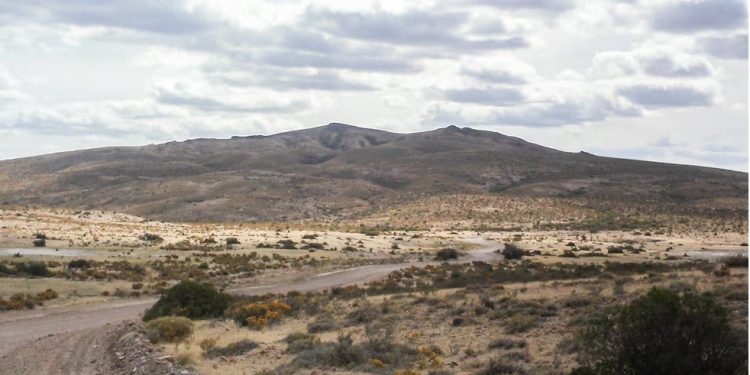 Inviolabilidad de la Propiedad Privada: La tierra prometida para los capitales extranjeros