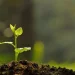 Día de la Conservación del Suelo: ¿por qué se conmemora el 7 de julio?