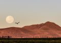 Un abrazo tan alto como nuestros cerros: El origen lunar del Día del Amigo