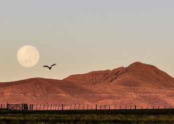 Un abrazo tan alto como nuestros cerros: El origen lunar del Día del Amigo