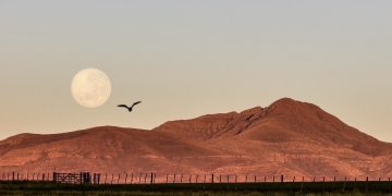 Un abrazo tan alto como nuestros cerros: El origen lunar del Día del Amigo