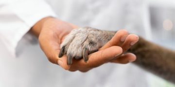 Día Mundial de las Zoonosis: de Pasteur al abordaje de “Una Salud”