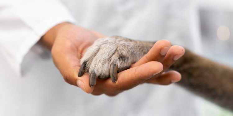 Día Mundial de las Zoonosis: de Pasteur al abordaje de “Una Salud”