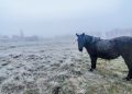 Gélido arranque de semana en la comarca: heladas generalizadas y mínimas de hasta -4°C signan el inicio del lunes