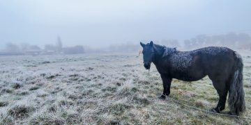 Gélido arranque de semana en la comarca: heladas generalizadas y mínimas de hasta -4°C signan el inicio del lunes