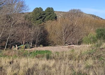 Transformación del Balneario La Hoya: concluyó la demolición del antiguo parador y se recuperó un emblemático espacio verde