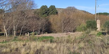 Transformación del Balneario La Hoya: concluyó la demolición del antiguo parador y se recuperó un emblemático espacio verde