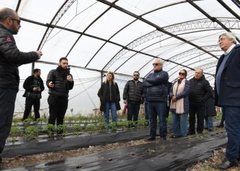 Javier Rodríguez recibió a una delegación brasileña y recorrió los ensayos de bioinsumos de la Chacra Experimental de Gorina