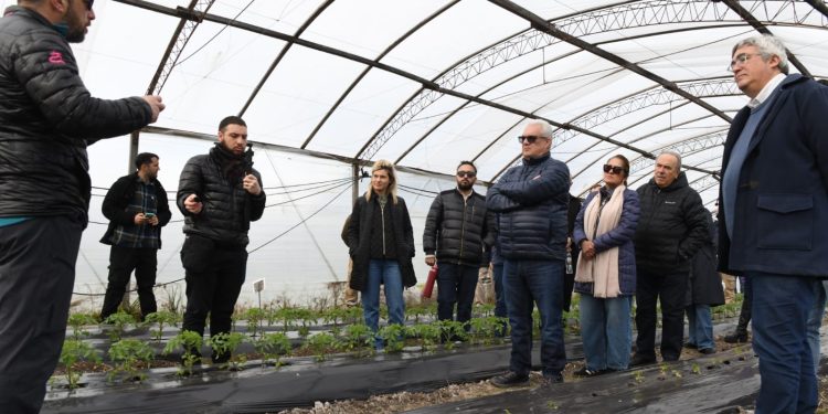 Javier Rodríguez recibió a una delegación brasileña y recorrió los ensayos de bioinsumos de la Chacra Experimental de Gorina