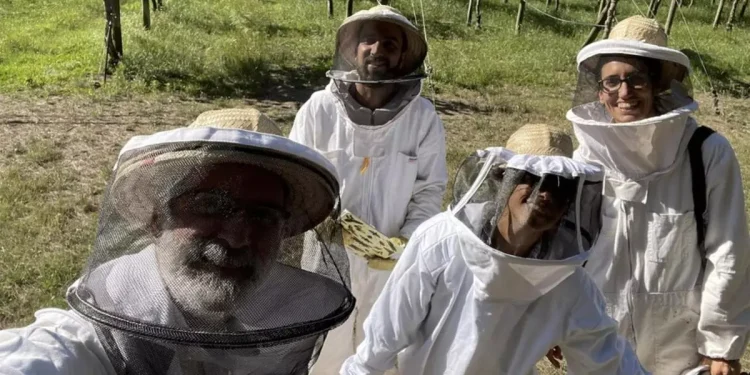 Entrenan abejas para producir más alimentos pero el Gobierno dejó de financiarlos