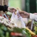 Un familia bahiense necesitó en julio cerca de $1.800.000 para no ser pobre